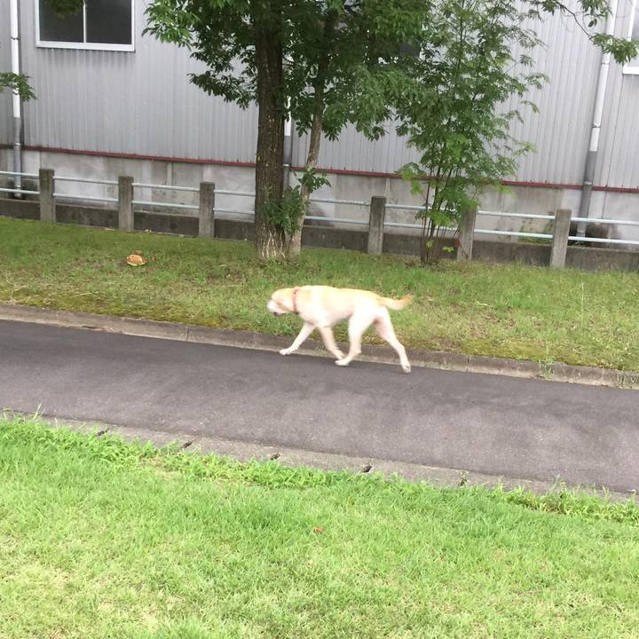 7eceac7f 5516 484e 963a 4eea9691ed99