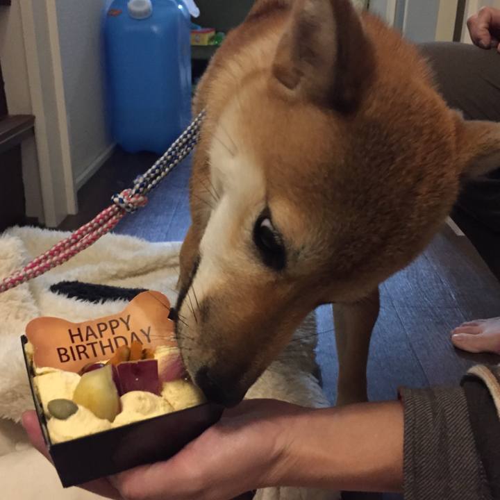 7ecece4d ace0 4fd1 bbc7 a1f4567ca4d0