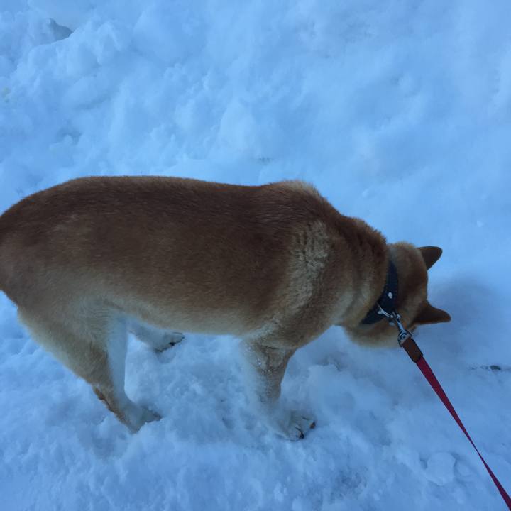 7ecf2ca3 fa83 4f73 a74a 1977b0072fbb