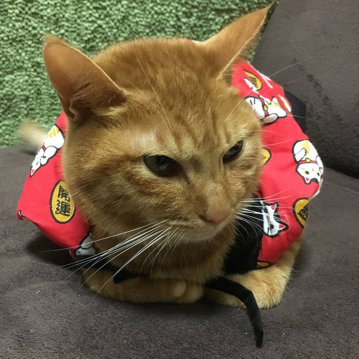 7ecf6ddd 6ae1 49c9 a760 6f483b9776e7