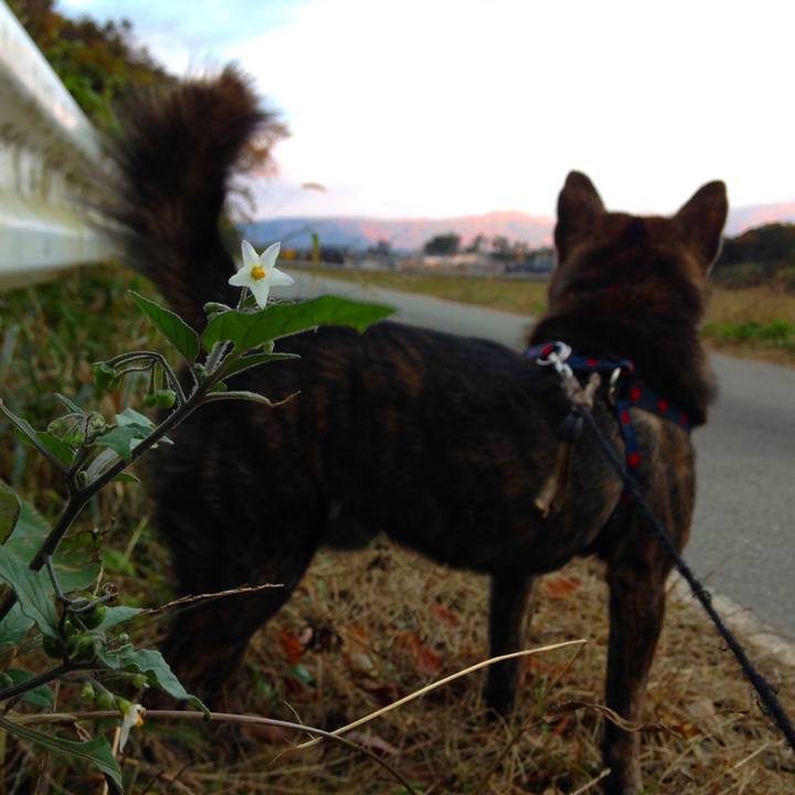 7ed06ecc 26ad 42a9 a092 cca0a44bb711