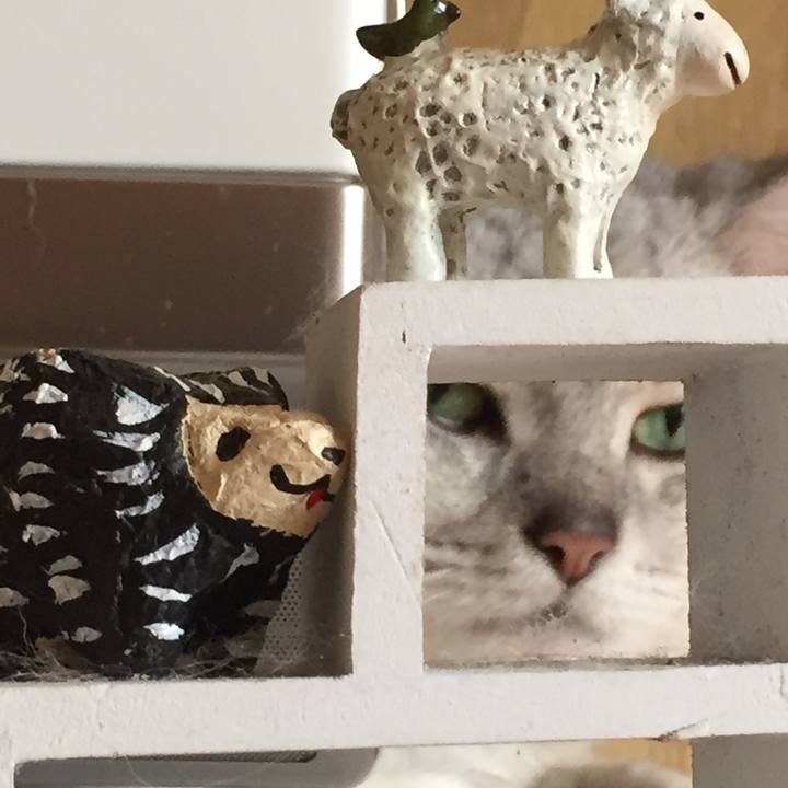 7ed0e7c7 476f 40cb aa00 88d25fc154ef