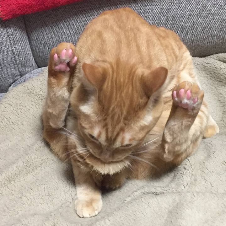 7ed1d7e4 bdf0 413a bdf3 a3d93019fe46