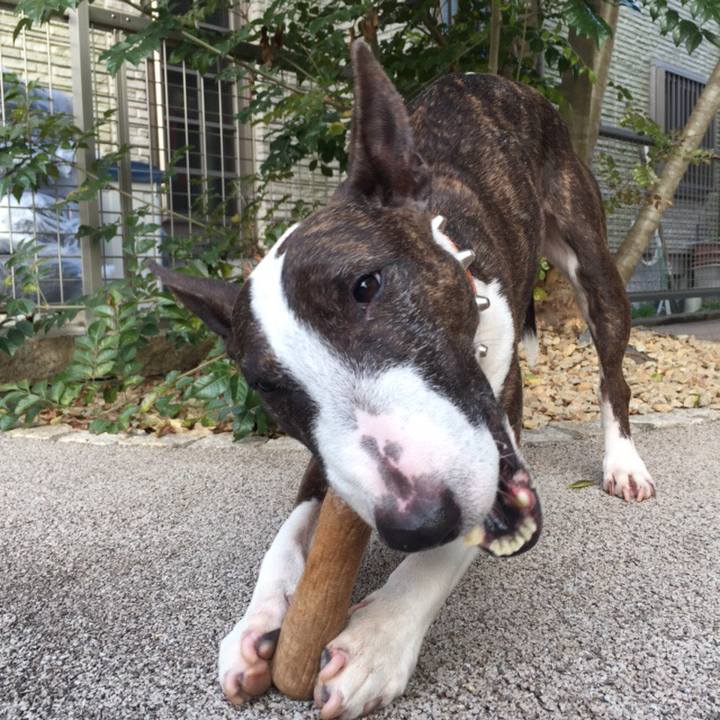 7ed2150c b1c8 4589 b4bd b6afa5223f46