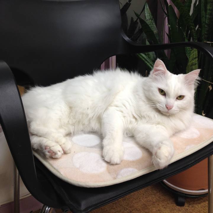 7ed26079 a395 43c1 b8ac 815b64d0007c