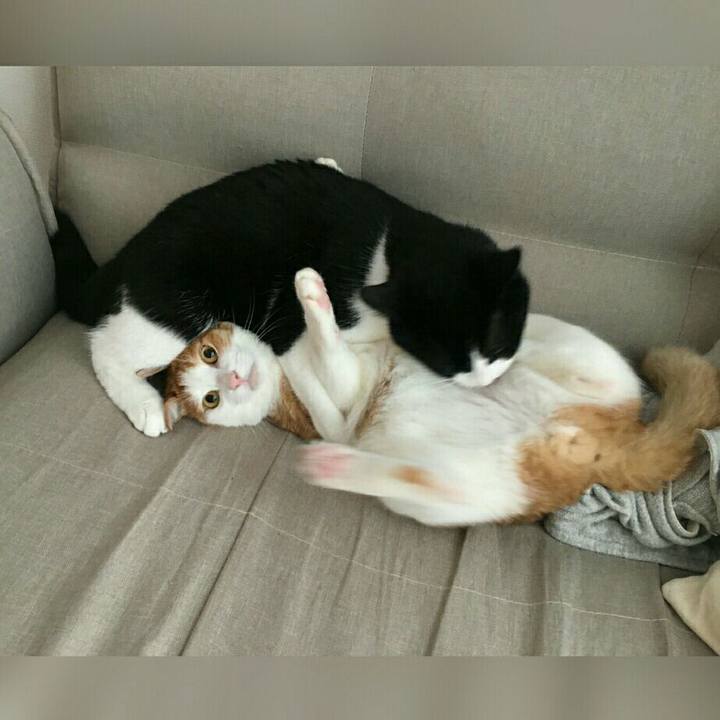 7ed2ad16 7e1c 4c4f 8978 d36c1e506f9b