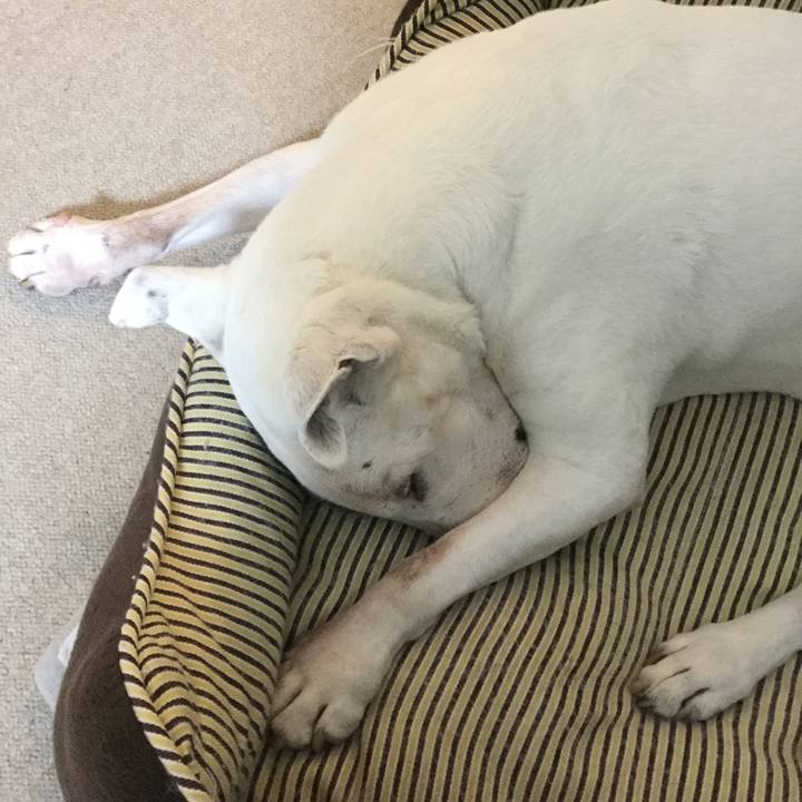 7ed2d500 72ab 4d23 8a66 ae6aaa8f4403