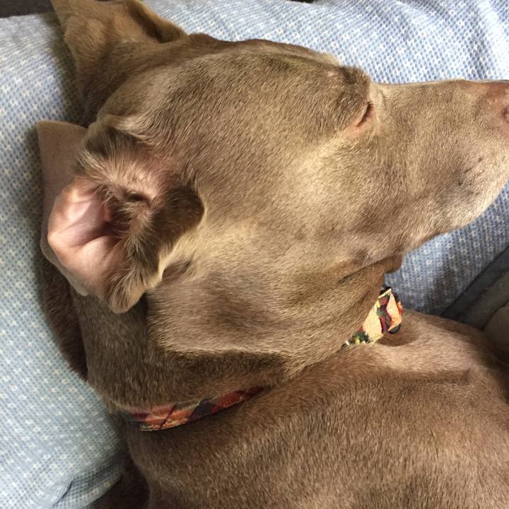 7ed32846 4320 4511 ae63 af0335cd029a