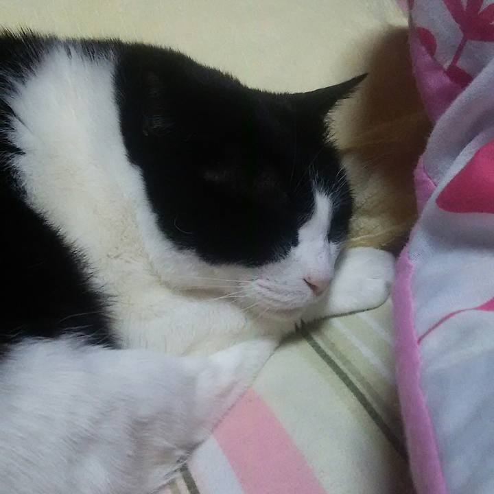 7ed3cd4c a34f 466b b14e aedb175ee289