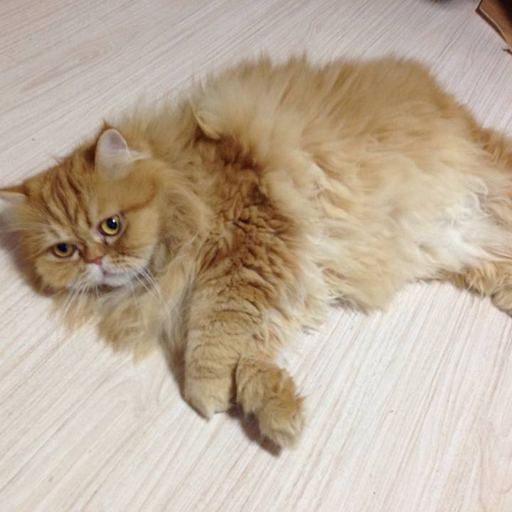 7ed3f438 4e4c 47ab b113 a391f234d7a8