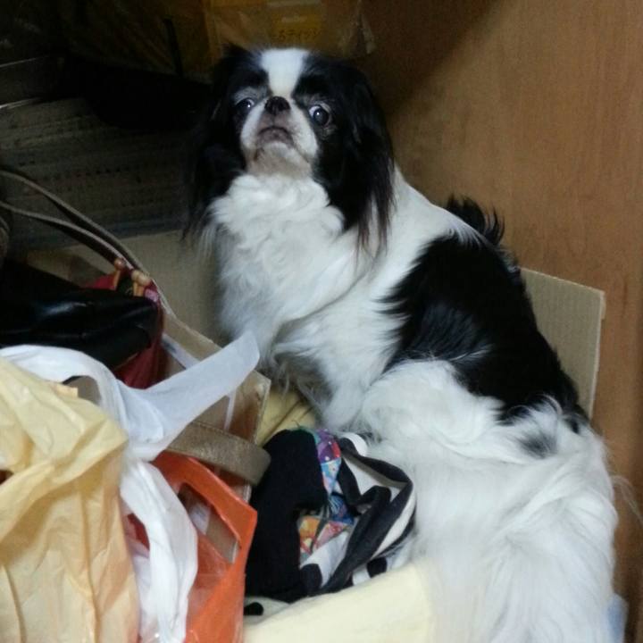 7ed4648b de25 4c0b 9acb 1b5a0f2ea596