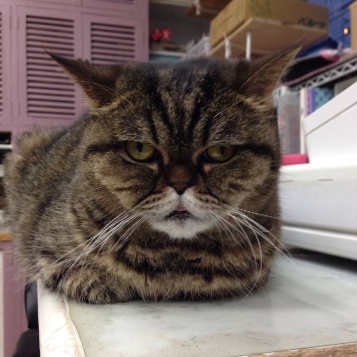 7ed53866 0793 4138 b595 957dbb172280