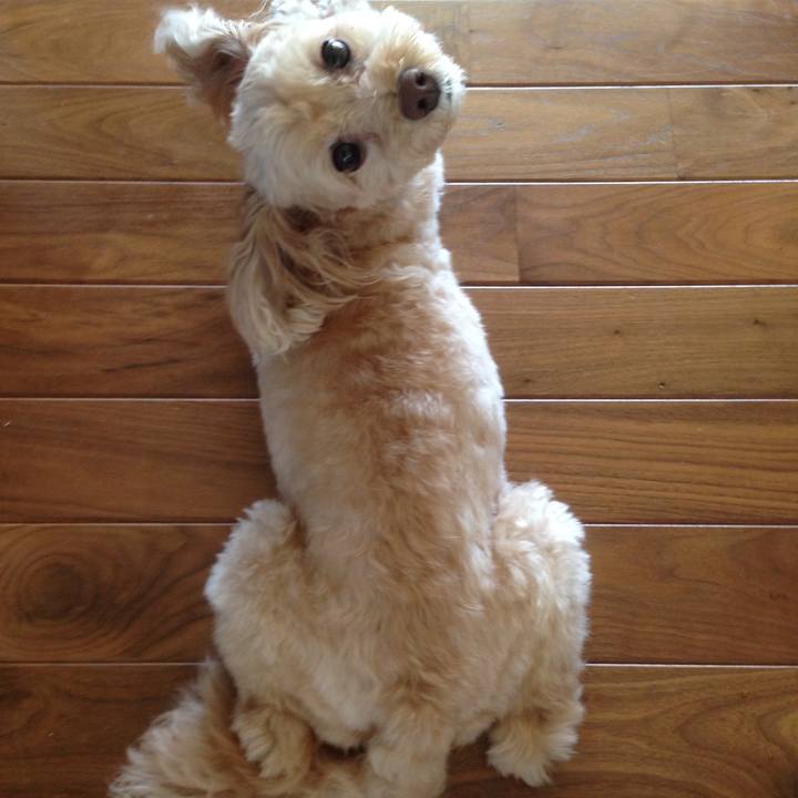 7ed630a1 276e 4128 9e67 9992d9b72092