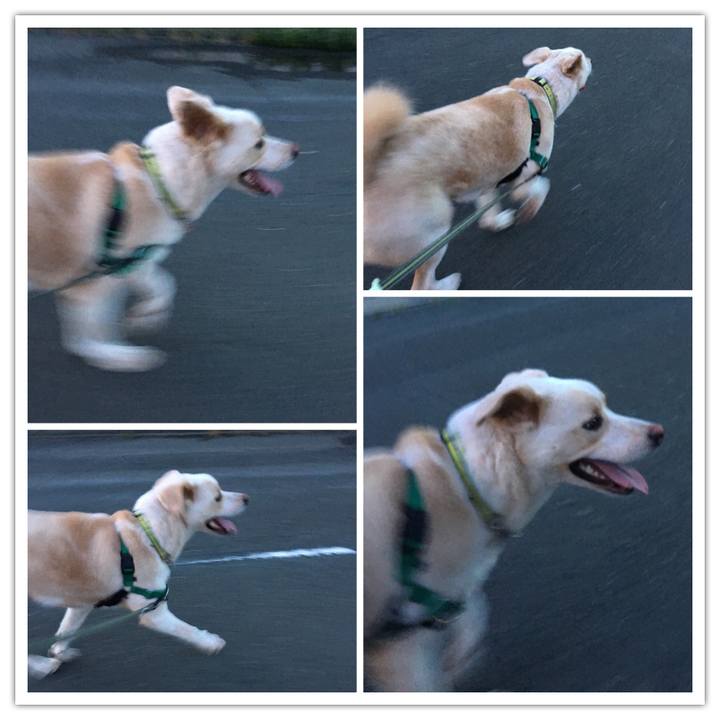 7ed6659f e02f 404f b65c 979a196208a9