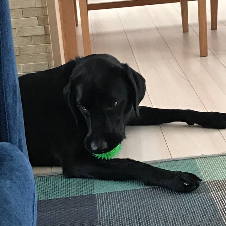 7ed6850b f1f8 4073 b47e c3971a6f7b26