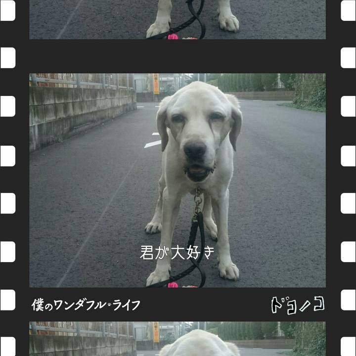 7ed68ba4 8b90 42b4 8a0e 65aad40270c5