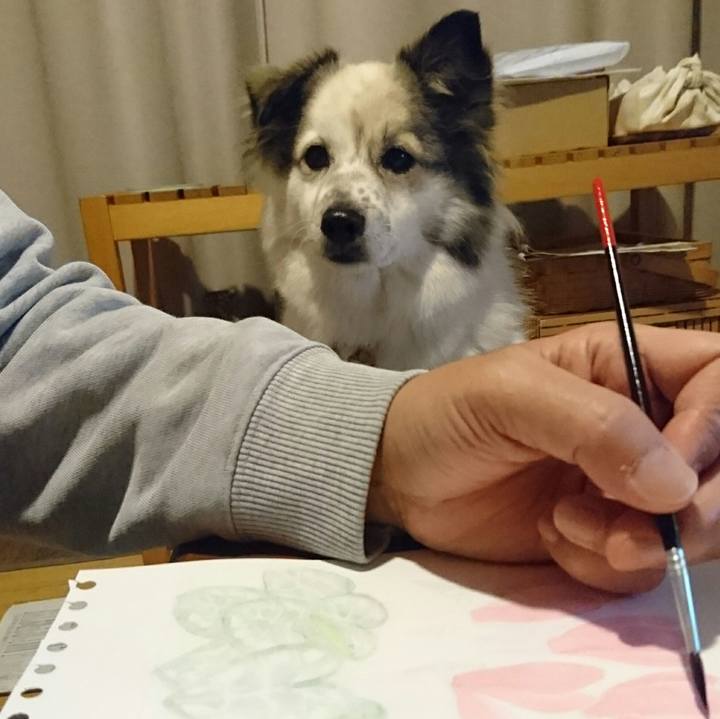 7ed69d61 1c36 4528 8d95 22fbb2b0ca3c