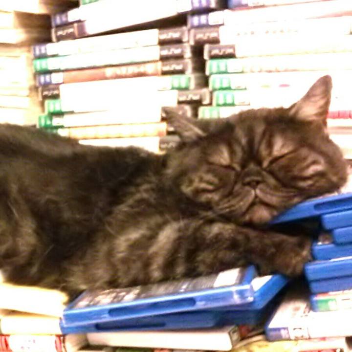 7ed6c375 8f2c 4250 947a fdd2b8d69040