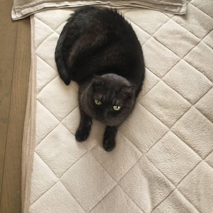 7ed6e41c 3829 4e57 a364 be2606779981