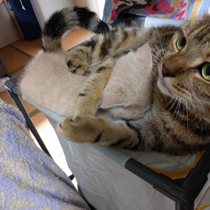 7ed6f428 b660 4930 9697 dabf62eae8bf