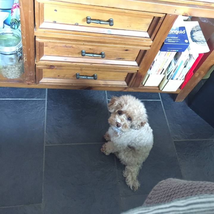 7ed7700e 4f3c 402c b01f 9df10e70ab94