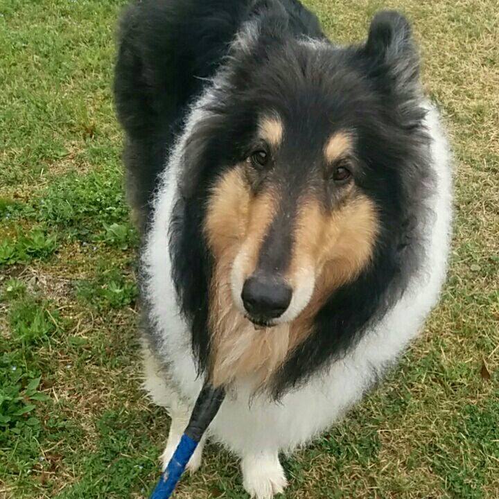 7ed79f35 bab4 4703 9dda 27de3661e49a