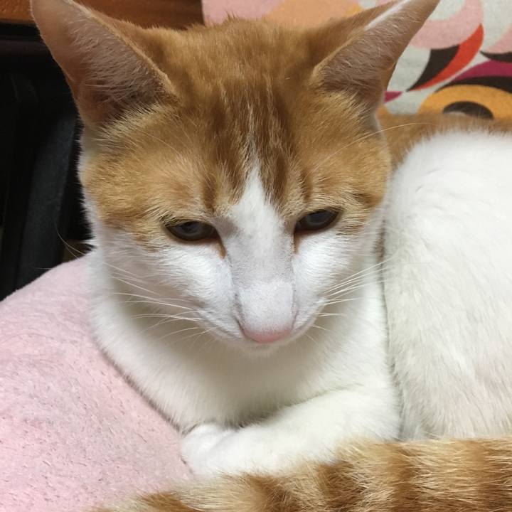 7ed7aa6a 79b8 4612 af93 8efcfceb6433