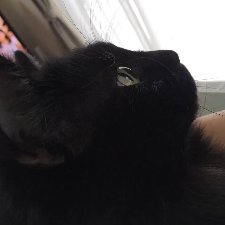 7ed7aeb9 718d 43ab 9e18 3ad60a2a31c5