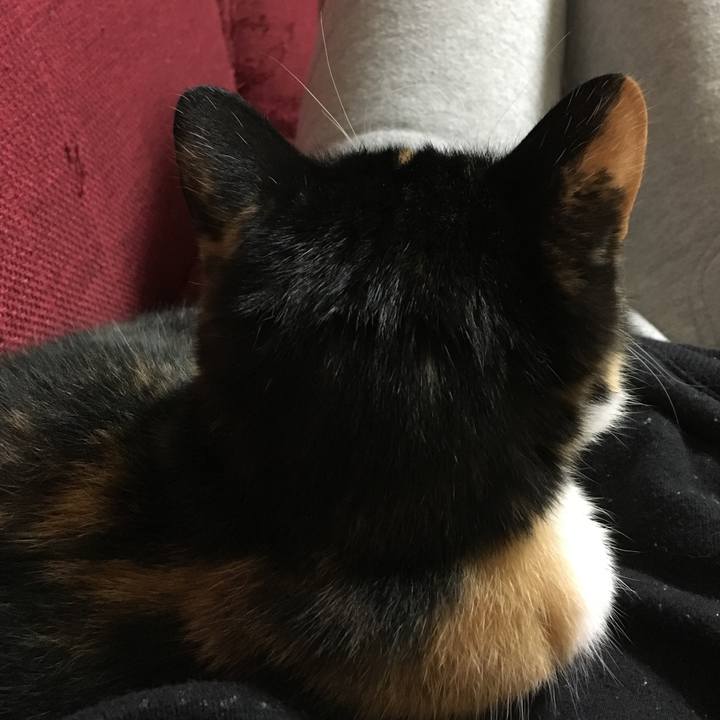 7ed7ce08 951e 42bc aedc 6f6189cf382c