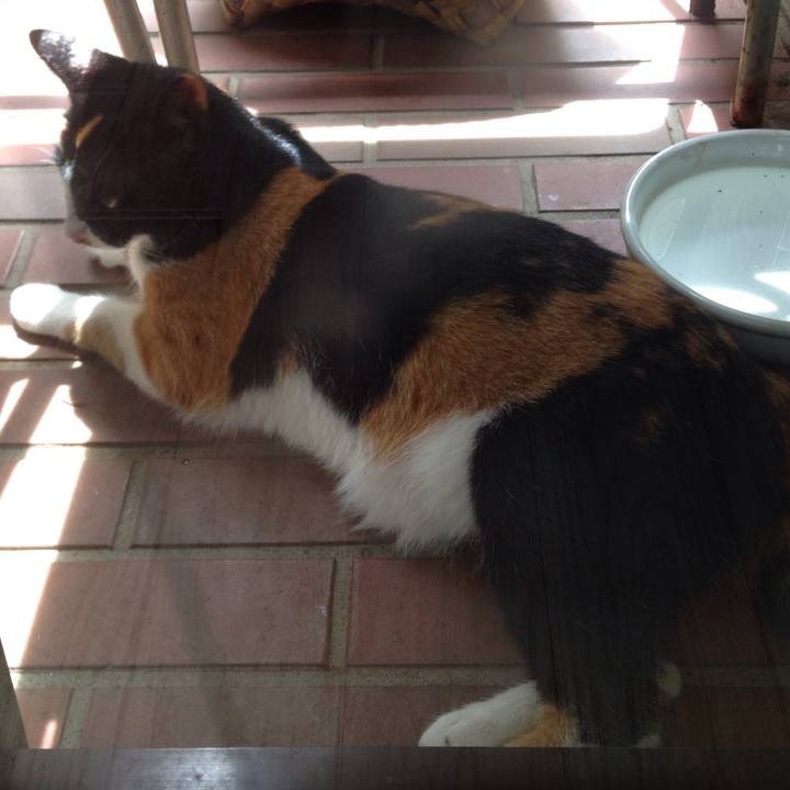 7ed8fb27 17e2 4731 b738 dbcb258e7e00