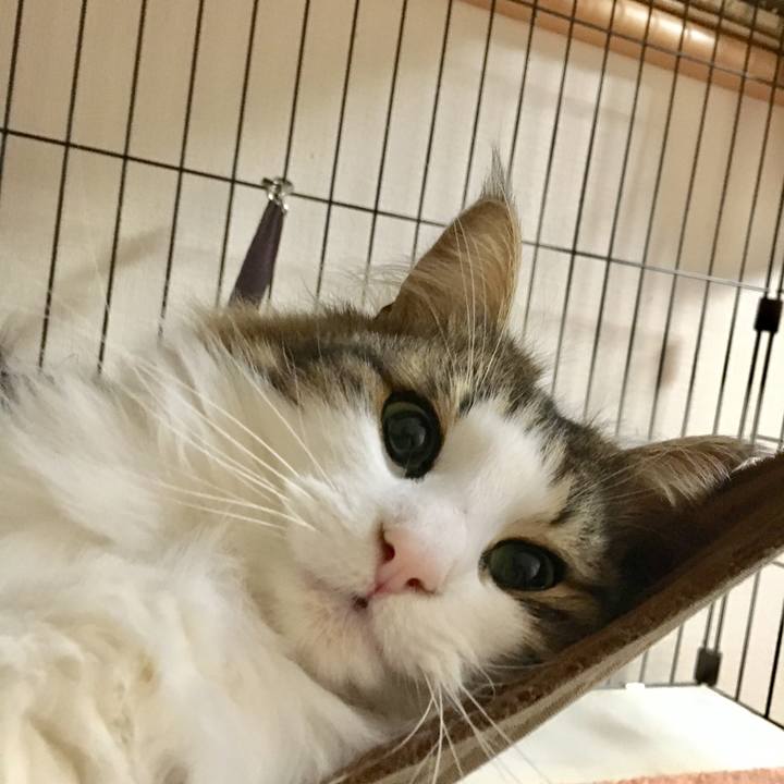 7ed9d850 567d 4788 b9f2 3006dabd8aec