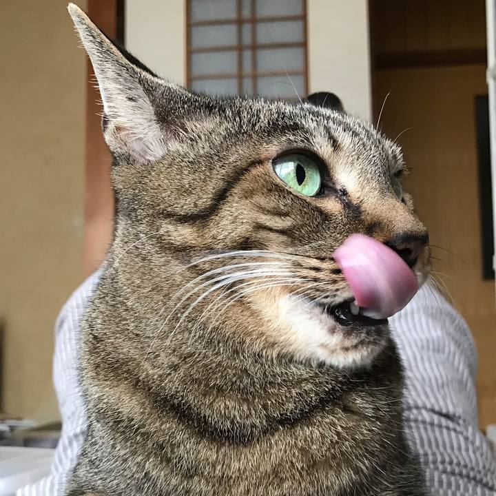 7eda8a03 eb58 4ff7 9fe8 7dbd701d6320