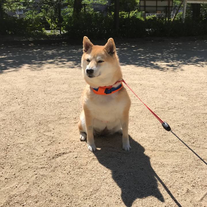 7edaaf56 17a8 4ca3 b3e9 c0f118f61a77