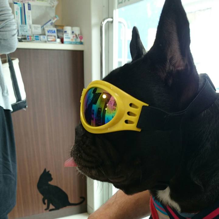 7edb3861 244b 4157 83fd 3b61fa169cee