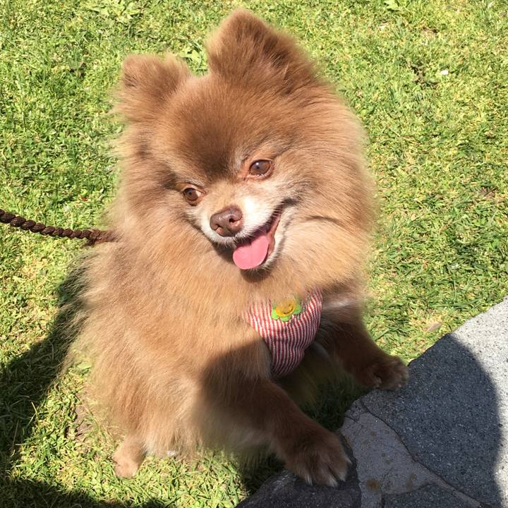 7edbb3c0 4a71 461d b622 925ddde62e69