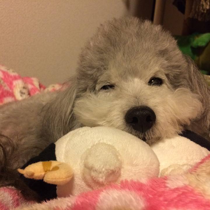 7edbd67e c727 43b2 beaf 6d93b4379e30