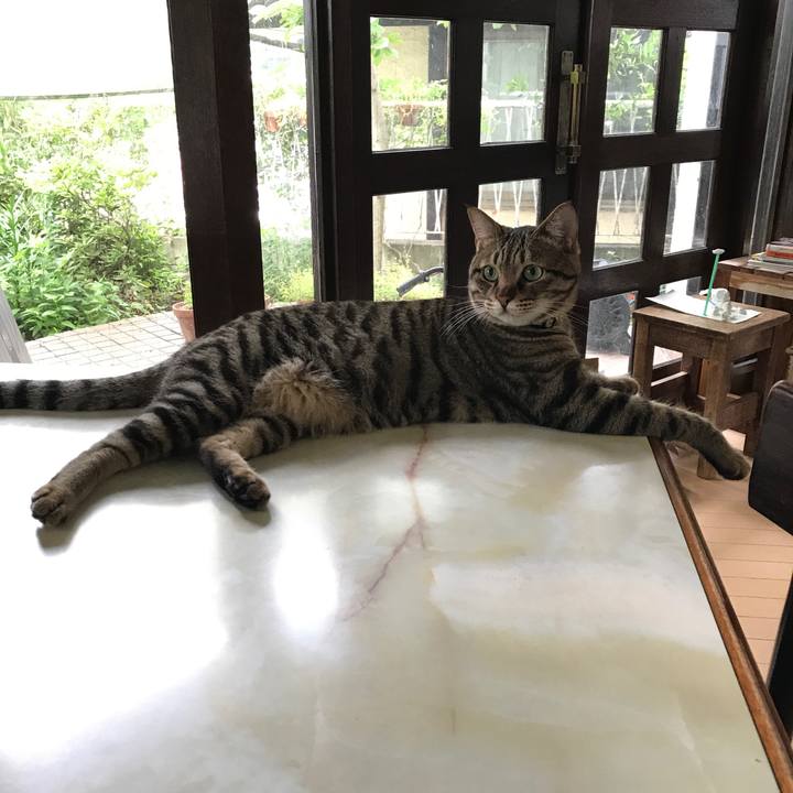 7edc5a8b 751c 4fd1 8f5f 970b20d72a5e