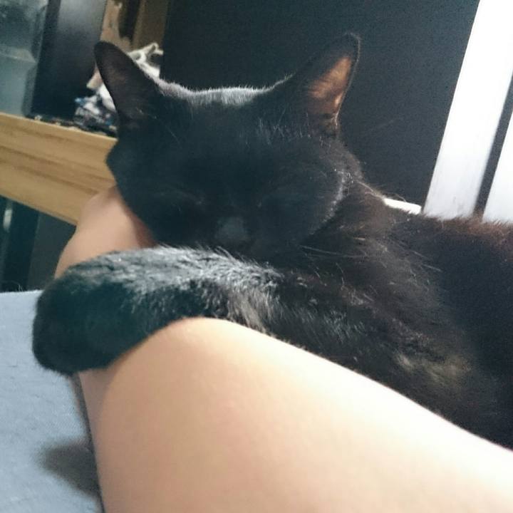 7edc8877 796b 4e47 984c a8d77117b7ef