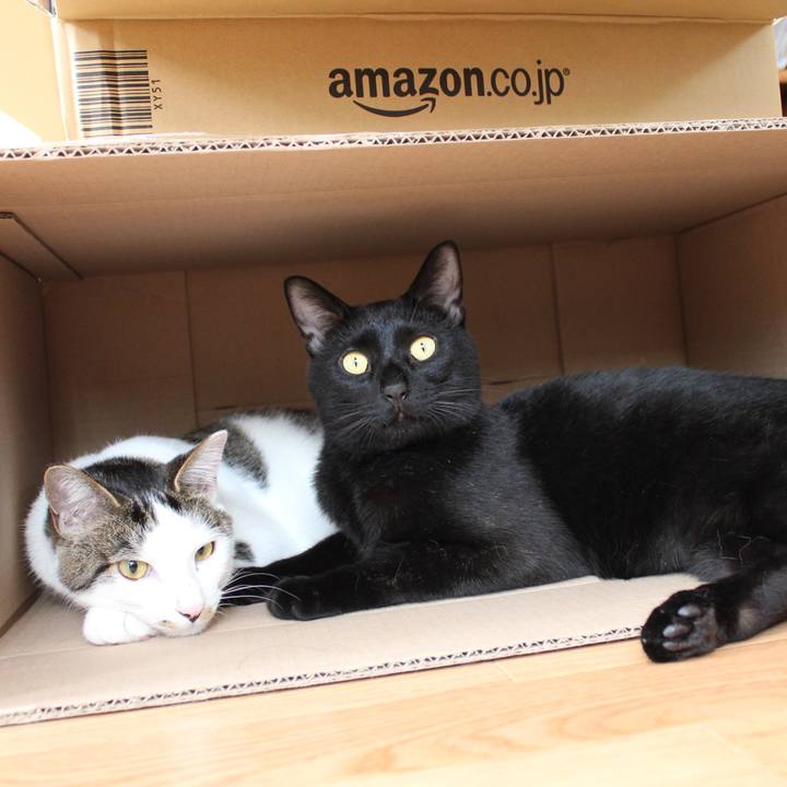 7edd166e b2ea 40de 8041 cc995998554f