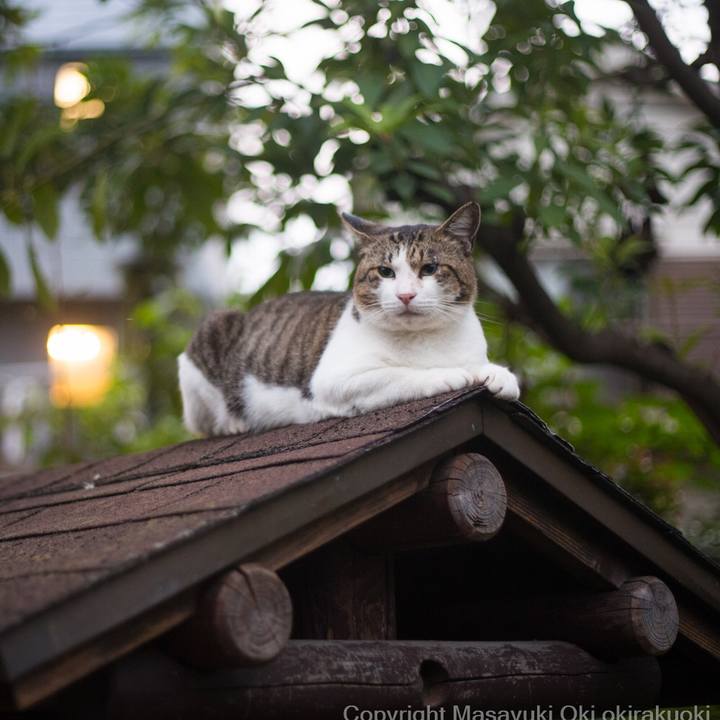 7ede0224 4e27 47e3 a3d1 e3214e62ea56