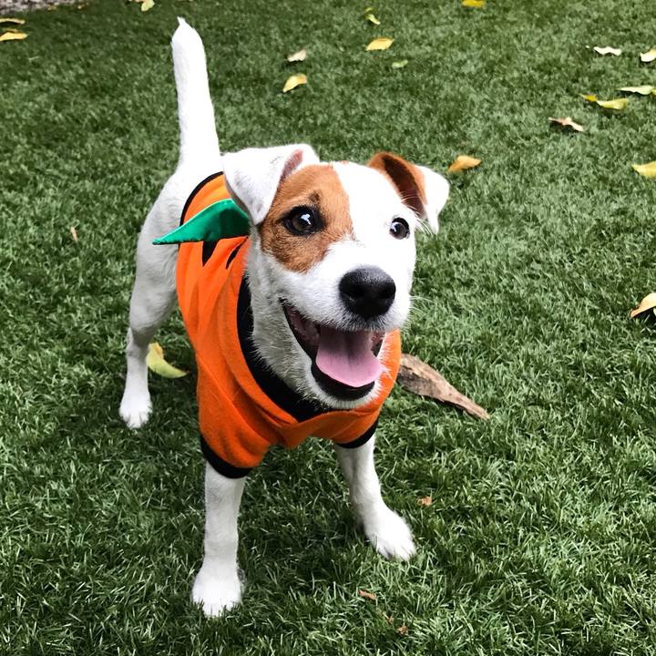 7ede2f34 b907 42f1 91e2 732cbd3242c2