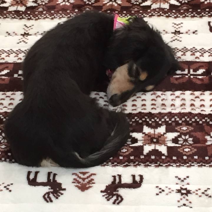 7edf2bf6 e9e7 4e1f 92c2 874001db01b1