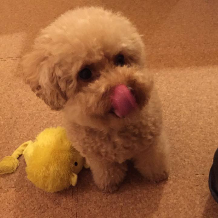 7edf7c76 4af8 4b0f 915f 4aab3c021c43