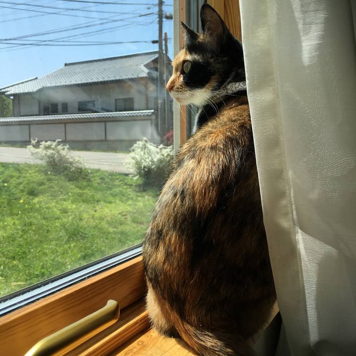 7edfaa40 e695 4602 ae7b eccc77689f11