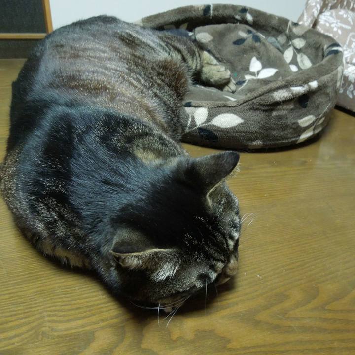 7edfe501 b6c4 4ceb a78b 2a2f2a1361e7