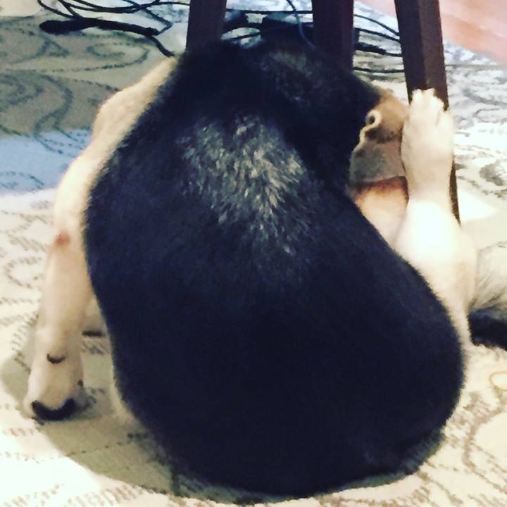 7ee04c07 1f5a 4152 a973 9f961375e925