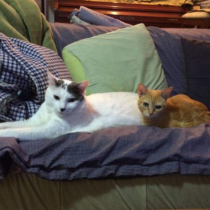 7ee07da4 0cef 4501 9b81 acfce10fd35d