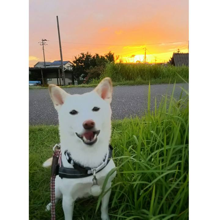 7ee17230 8a3f 4ad6 9bf7 00208353a3d0