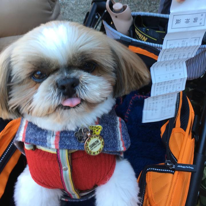 7ee19486 5c5a 43dd a52e 3da2ebbe314b