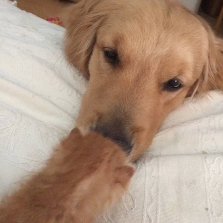 7ee1afce 1ea2 4270 a368 1590eee7e8fa